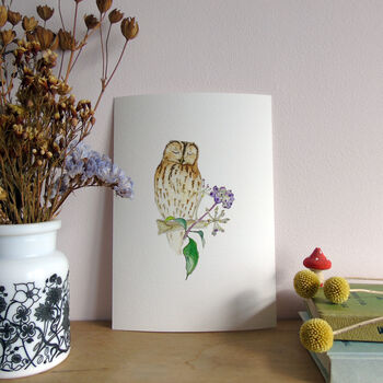 Tawny Owl And Ivy Berries Giclee Fine Art Print, 5 of 9