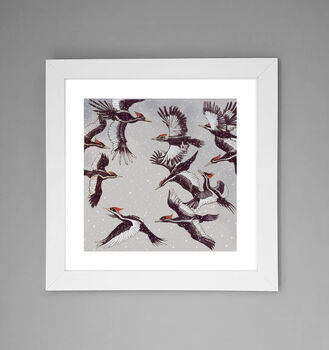 'Ivory Billed Woodpeckers' Print, 2 of 3