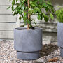 Noma Grey Footed Planter, thumbnail 3 of 10