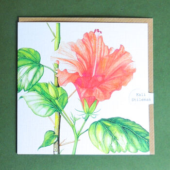 Hibiscus Greetings Card, 5 of 5