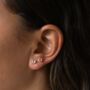 Sterling Silver November Birthstone Stud Earrings Citrine, thumbnail 1 of 4