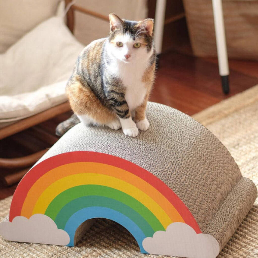 Cat Scratch Rainbow, 1 of 5