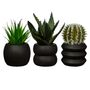 Totem Black Cement Planter With A Succulent Or Cactus, thumbnail 1 of 5