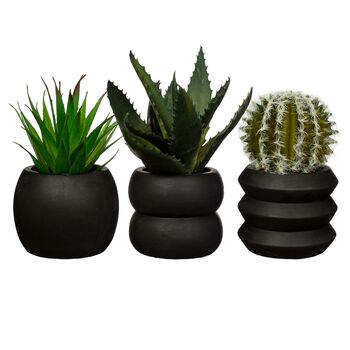 Totem Black Cement Planter With A Succulent Or Cactus, 2 of 5