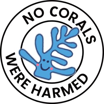 The Coral Scrubs Family Bath And Shower Sponges. Set Of Three Coral Inspired Body Sponges For Babies, Kids And Adults, 6 of 7