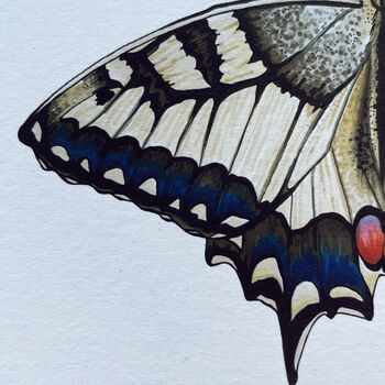 Illustrated Swallowtail Butterfly Card Blank Inside, 5 of 6