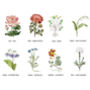 Personalised Secret Message Floral Tea Towel For 80th Birthday, thumbnail 4 of 7