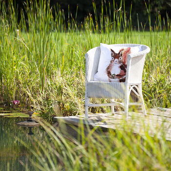 Inky Squirrel Outdoor Cushion For Garden Furniture, 4 of 8