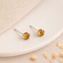 Sterling Silver Citrine Micro Stud Earrings – 3mm, thumbnail 1 of 4