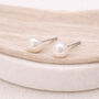 Sterling Silver White Freshwater Pearl Stud Earrings – 5mm, thumbnail 3 of 10