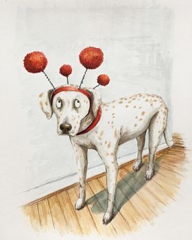 Personalised Pet Portrait Illustration, 9 of 10
