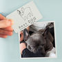 Best Dog Dad Illustration Breed Fridge Magnet, thumbnail 1 of 9