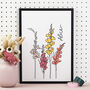 Birth Flower Illustrated Prints, thumbnail 9 of 12