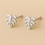 Sterling Silver Monstera Leaf Stud Earrings, thumbnail 1 of 6