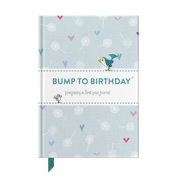 'Bump To Birthday' Journal, 8 of 12