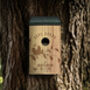 Love Birds Bird Box, thumbnail 1 of 6