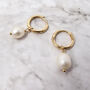 18k Gold Vermeil Plated Pearl Earrings, thumbnail 2 of 4