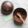 Eco Friendly Coconut And Spoon Gift Set, thumbnail 4 of 6