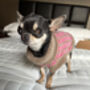 Chihuahua / Puppy Pure Wool Knitted Jumper In Pink, thumbnail 2 of 7