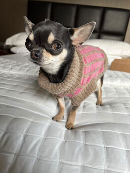 Chihuahua / Puppy Pure Wool Knitted Jumper In Pink, 2 of 7