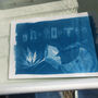 Cyanotype Printing Craft Kit, thumbnail 6 of 7