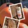 Pumpkin Seeds In A Seedtube, thumbnail 4 of 5