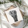 Elephant Blank Greeting Card, thumbnail 1 of 6