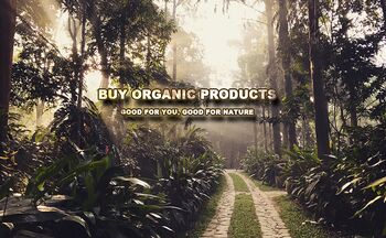 Organic Papaya Leaf Powder 100g For Wellness, 8 of 12