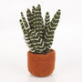 Handmade Felt Fake Plant, Cactus Collection, thumbnail 2 of 5