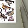 Geese Of Britain Watercolour Postcard, thumbnail 5 of 8
