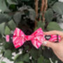 Raspberry Pink Swirl Pattern Dog Collar, thumbnail 3 of 6