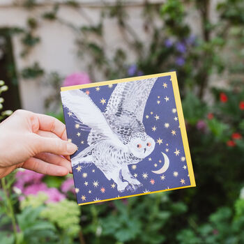 Starry Snowy Owl Greetings Card, 2 of 7
