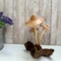 Handmade Wooden Mushroom Ornament Natural Decor And Gift, thumbnail 4 of 10