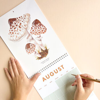 British Mushrooms 2024 Month To A Page Wall Calendar, 7 of 11