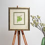 Botanical Watercolour With Plum Leaves Illustration, thumbnail 3 of 3