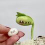 Personalised Corporate Branded Message Seeds, thumbnail 2 of 11