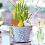 Personalised Tea Cup Easter Plant Pot, thumbnail 1 of 4