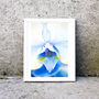 Framed Blue Orchid Macro Photography Print, thumbnail 2 of 2