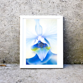 Framed Blue Orchid Macro Photography Print, 2 of 2