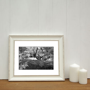 Boy And Girl In Woodland Photographic Art Print, 2 of 4