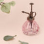 G Decor Pink Glass Plant Mister, thumbnail 3 of 3