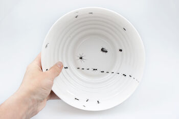 Bowl With Insects, 12 of 12