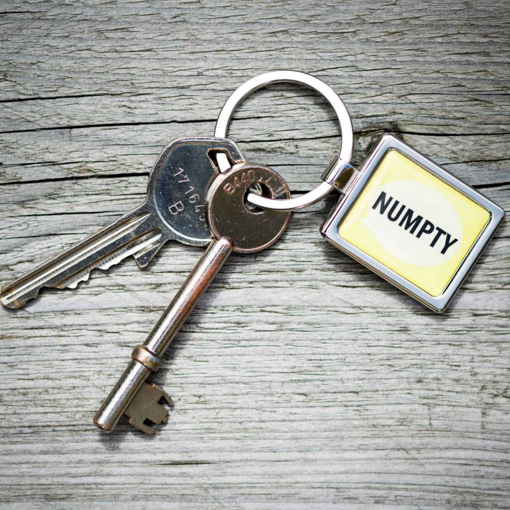 Image of 'Numpty' Keyring