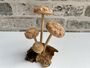 Hand Carved Shitake Wood Mushrooms On Driftwood Base, thumbnail 1 of 11