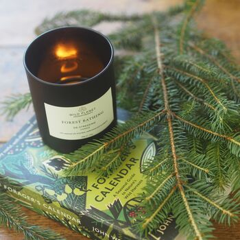 Forest Bathing Aromatherapy Vegan Candle, 8 of 12