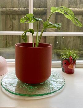 3D Printed Curved Plant Pot – Gardening Gifts, 4 of 9