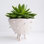 Handmade A White Spiky Cactus Planter Plant Pot, thumbnail 1 of 5