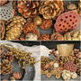 Natural Assortment Of Pine Cones Golden Sparkle, thumbnail 5 of 6