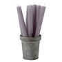 Set Of Four Tapered Dinner Candles, thumbnail 4 of 11