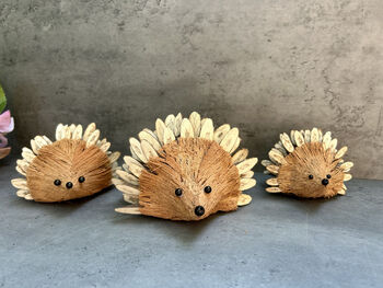 Set Three Handmade Hedgehog Ornaments Coconut, 3 of 12